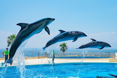 MARINE WORLD uminonakamichi [Oct.2021-Mar.2022]