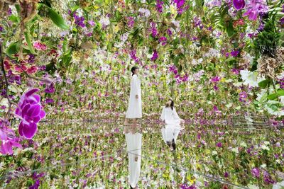 teamLab Planets TOKYO DMM Admission Ticket